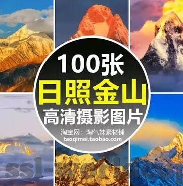 足球即时比分女足-足球即时比分，女足赛场上的速度与激情